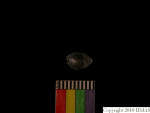 L_V22d6527 A16q861.3 Tx06 dM sh f190